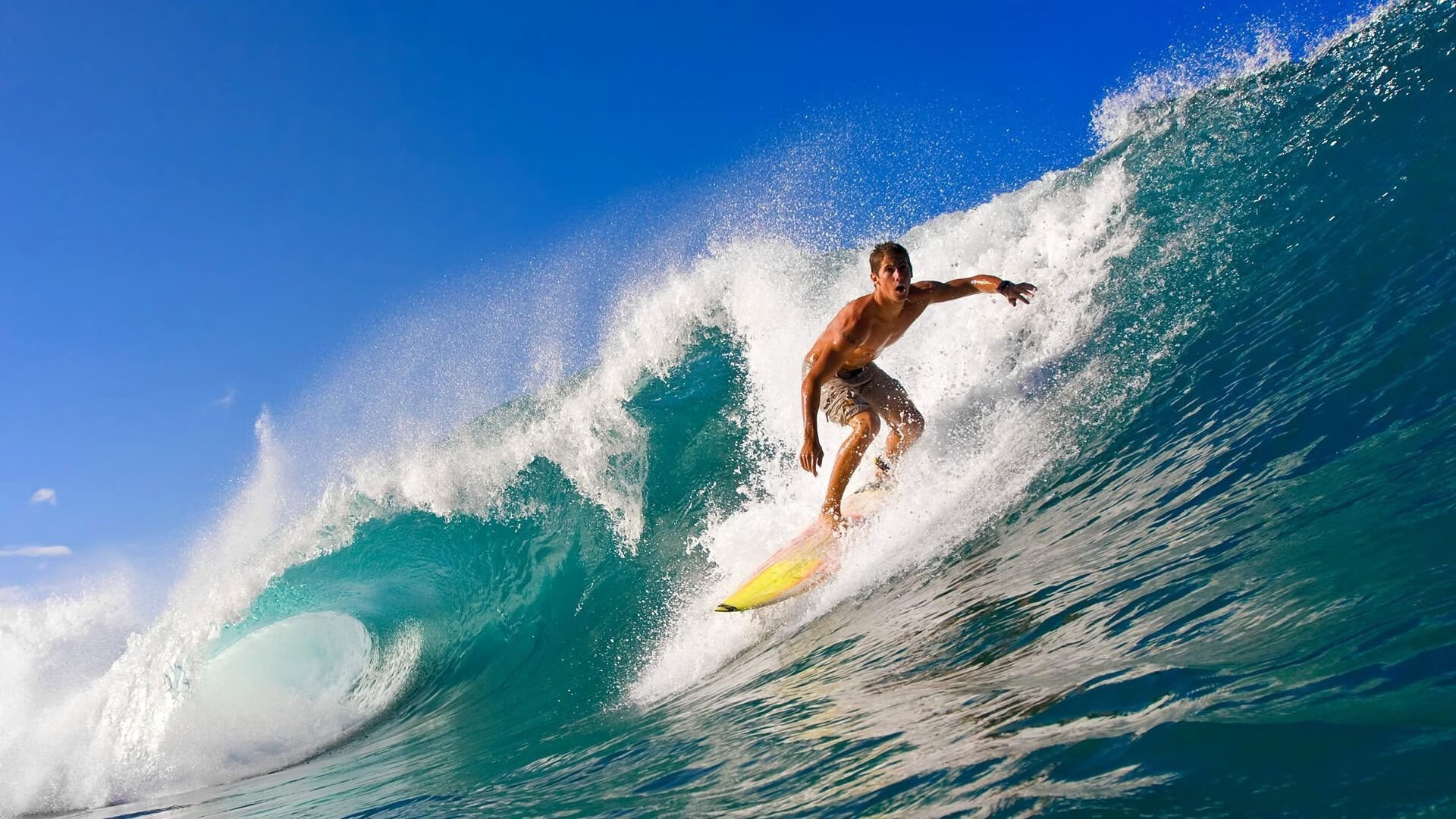 德甲紧张对决,比分4-3,明星球员梅开二度,关键数据领先,德甲对抗